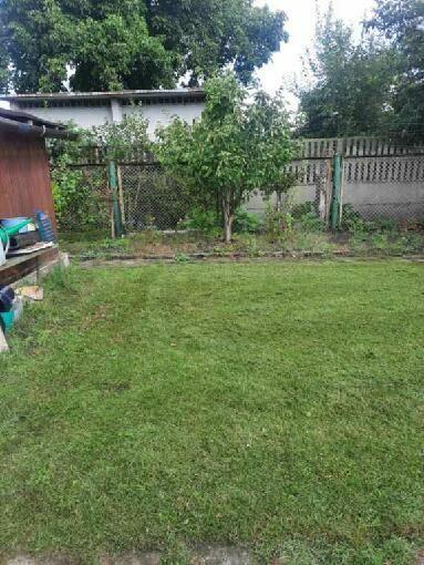 Sprzedam Ogródek Zabrze Zaborze róża