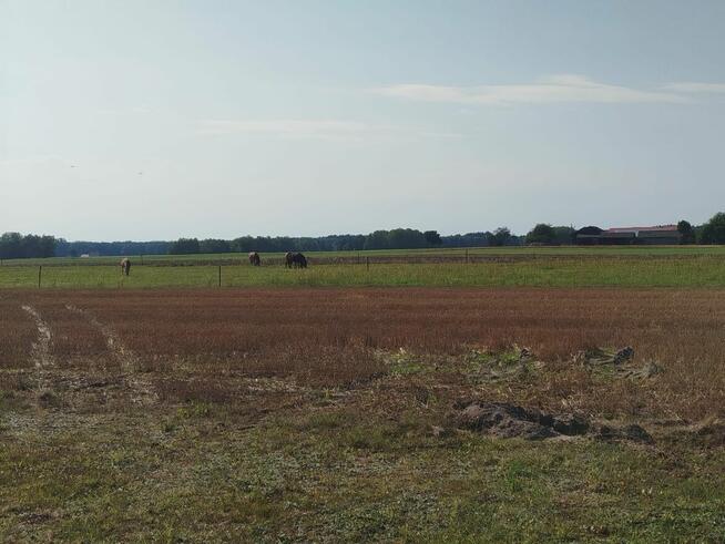 Na sprzedaż działka budowlana - Ksawerów Stary, gm. Stromiec