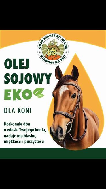 Olej Sojowy , Olej słonecznikowy