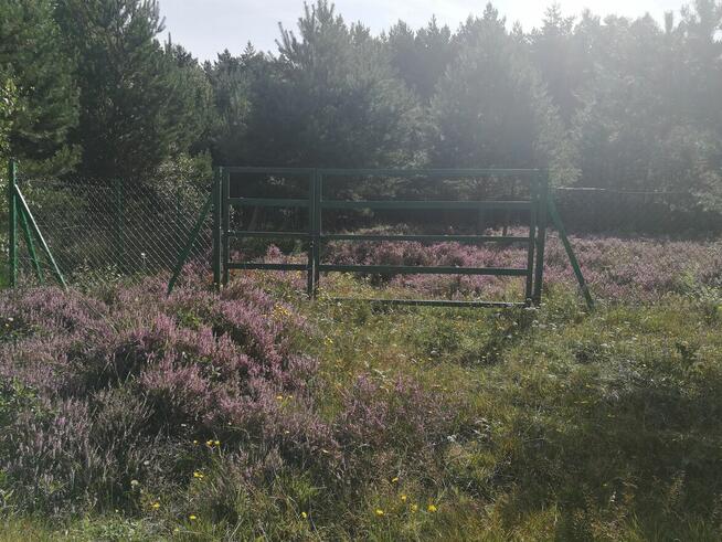 Sprzedam działkę rekreacyjną