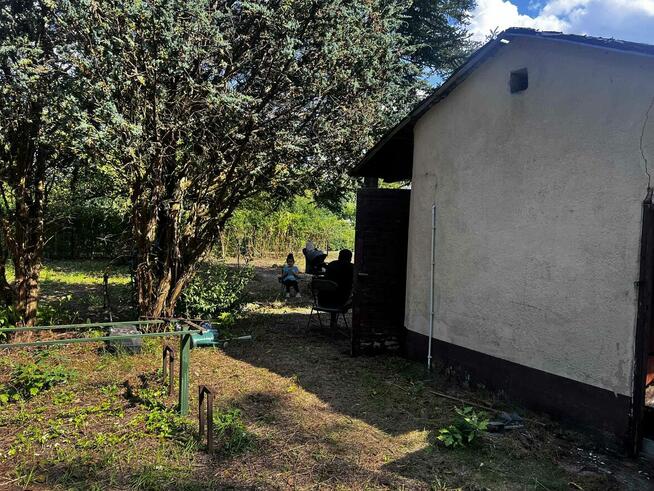 Działka ROD Czerniaków Mokotów