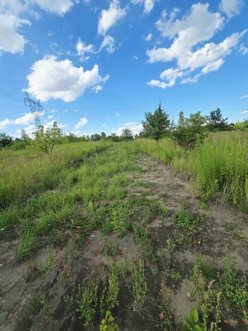 Wojkowice działka budowlana, zielona okolica