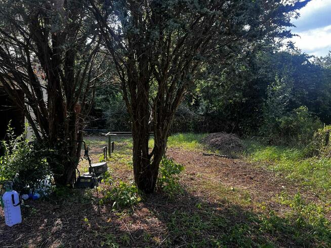 Działka ROD Czerniaków Mokotów