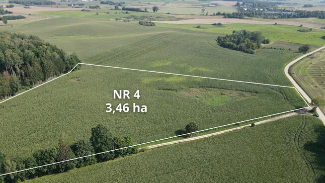 Działki rolne Klejdyty / 7,5 ha / IV klasa