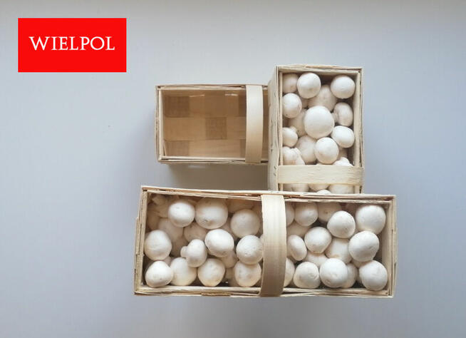 Sprzedaż opakowań do białych pieczarek.