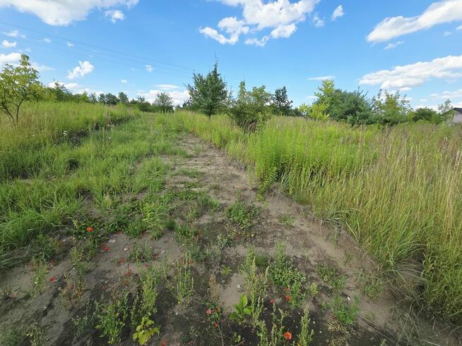 Wojkowice działka budowlana, zielona okolica