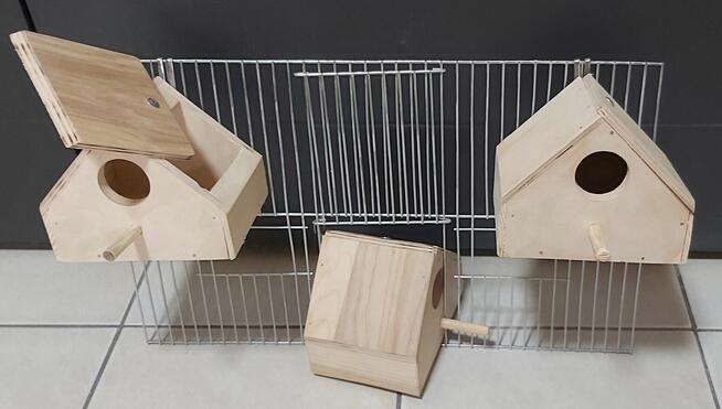 Budka lęgowa zeberka amadyna mewka