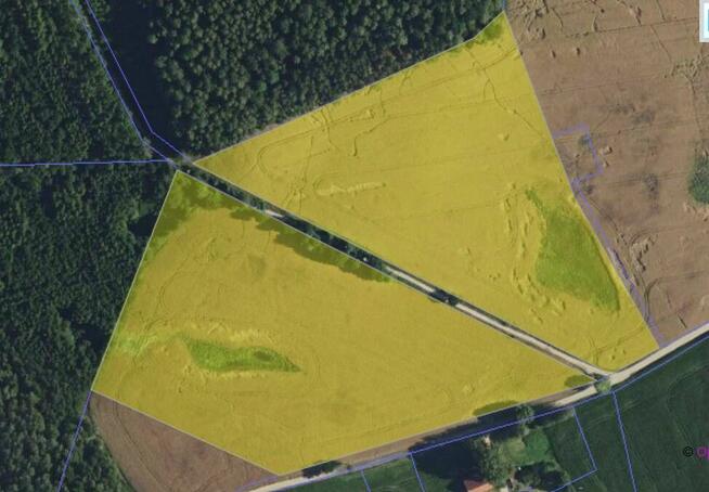 Działki rolne Klejdyty / 7,5 ha / IV klasa