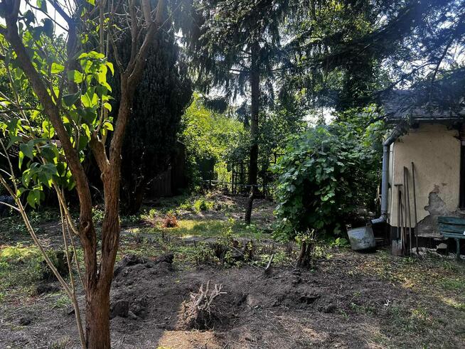 Działka ROD Czerniaków Mokotów