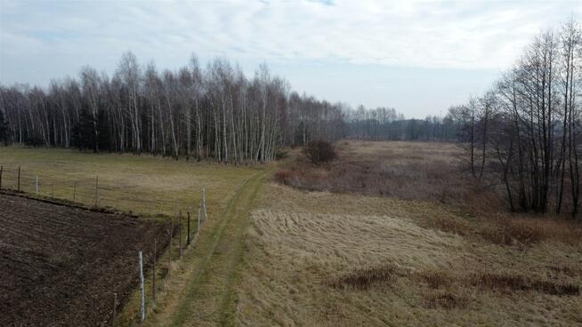 Działka Wojnicz Dębina Zakrzowska, Dębina Zakrzowska