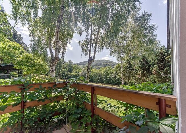 Dom wolnostojący w otoczeniu lasu