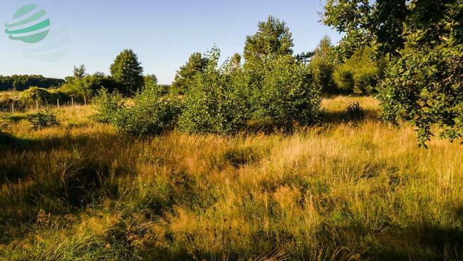 Działka budowlana Rusko gm. Darłowo