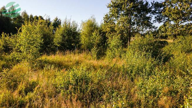 Działka budowlana Rusko gm. Darłowo