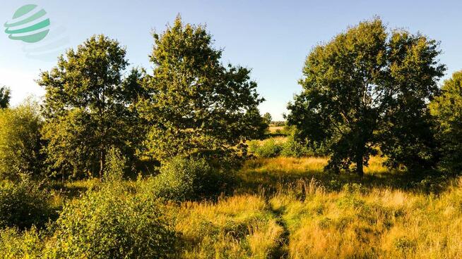 Działka budowlana Rusko gm. Darłowo
