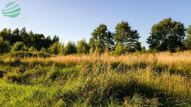 Działka budowlana Rusko gm. Darłowo