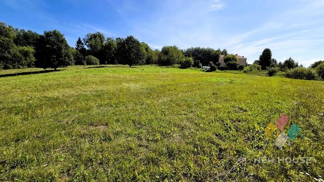 Działka z widokiem na las