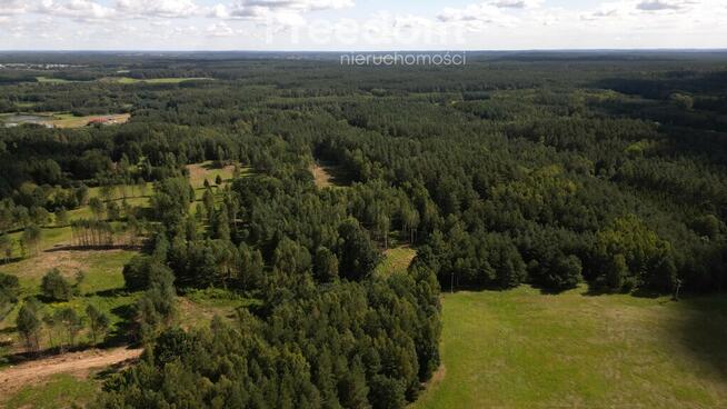 Atrakcyjny kompleks działek w Kabornie gm. Purda