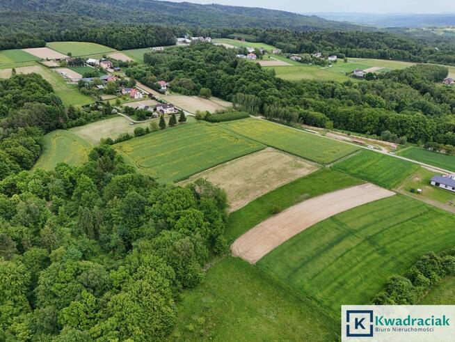 Działka rekreacyjna Jabłonica gm. Skołyszyn,