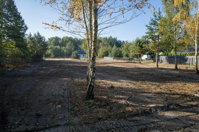 Działka budowlana po mulczowaniu w Grądach