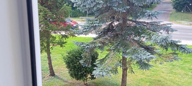 Mieszkanie blisko morza (kawalerka)