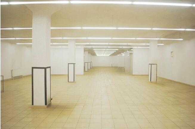 Na wynajem: kompleks magazynowo-produkcyjny – 967,2 m² – San