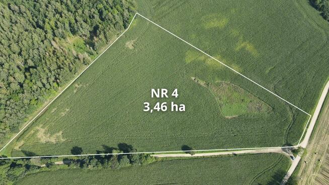 Działki rolne Klejdyty / 7,5 ha / IV klasa