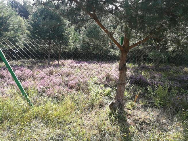 Sprzedam działkę rekreacyjną