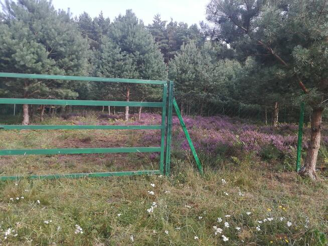 Sprzedam działkę rekreacyjną