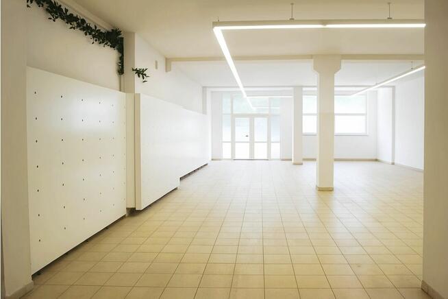 Na wynajem: kompleks magazynowo-produkcyjny – 967,2 m² – San