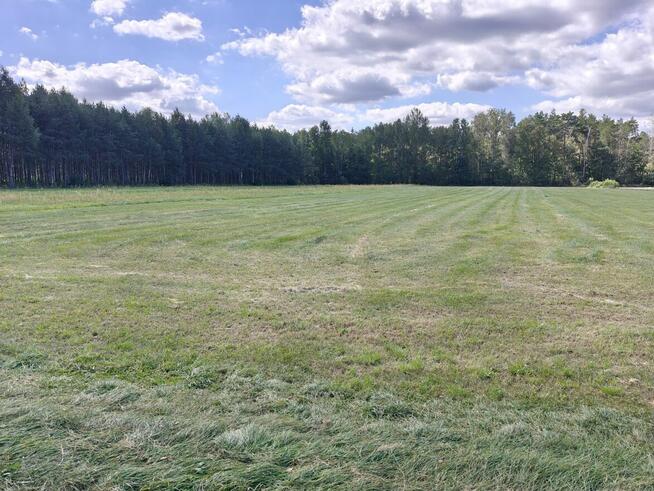 Syndyk sprzeda - nieruchomości gruntowe we wsi Dąbrówka