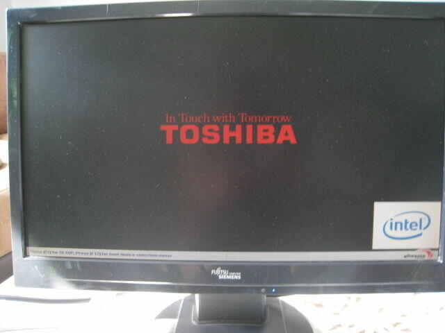 Monitor Fujitsu Siemens