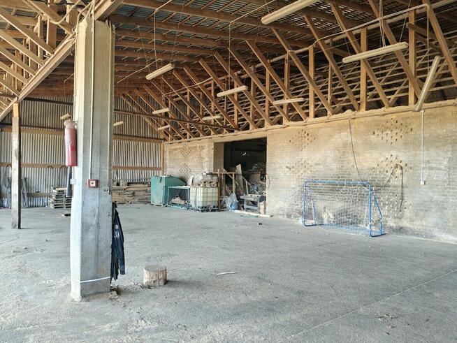 Syndyk sprzeda - nieruchomości gruntowe we wsi Dąbrówka