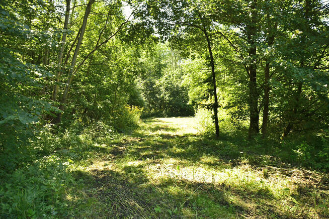 Sprzedam działkę - Włosań, gm. Mogilany.