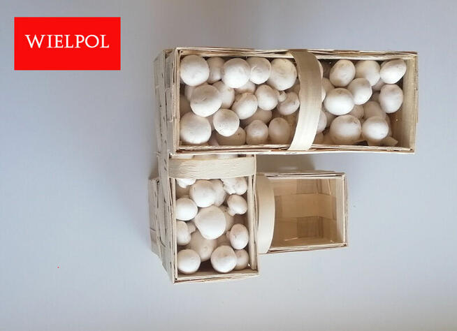Sprzedaż opakowań do białych pieczarek.