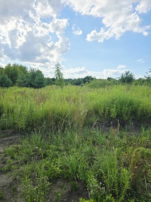 Wojkowice działka budowlana, zielona okolica