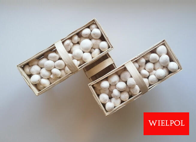 Sprzedaż opakowań do białych pieczarek.