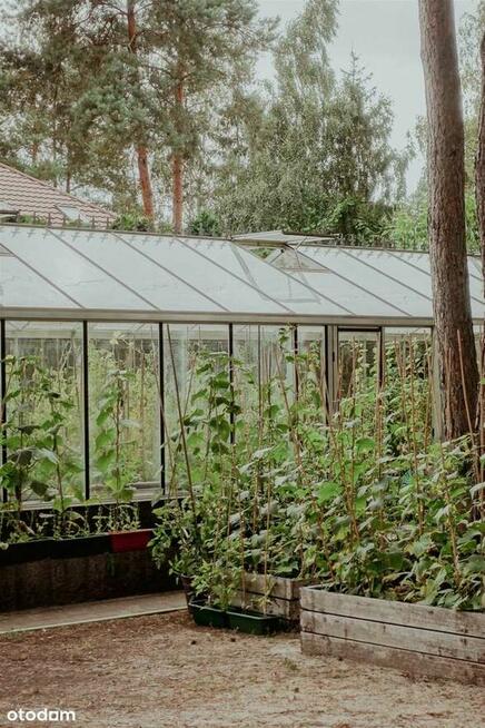 Unikatowa willa do zamieszkania lub pod usługi