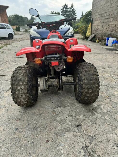 Sprzedam Quada 110cm