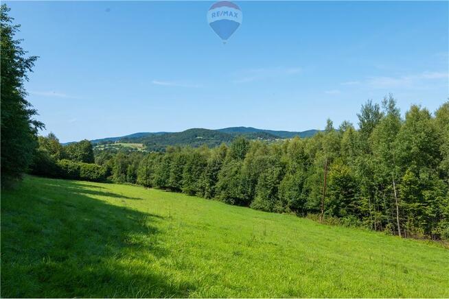 Zielony azyl w otoczeniu natury