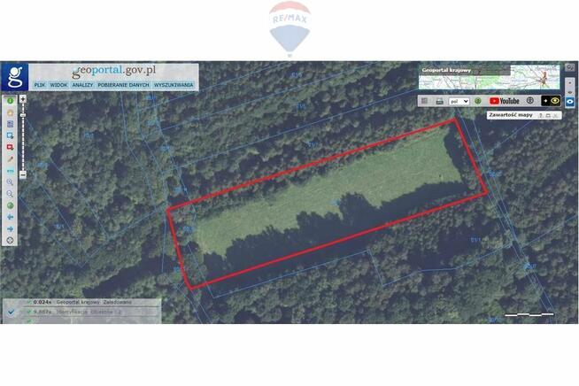 Zielony azyl w otoczeniu natury