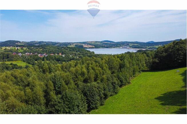 Zielony azyl w otoczeniu natury