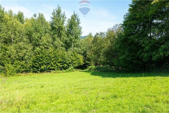 Zielony azyl w otoczeniu natury