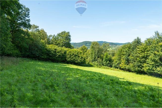 Zielony azyl w otoczeniu natury