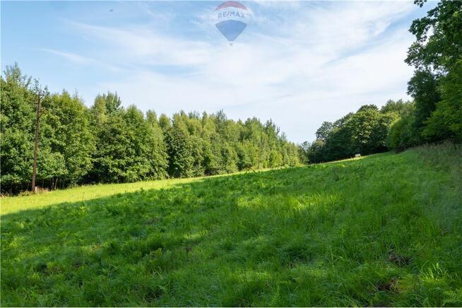 Zielony azyl w otoczeniu natury