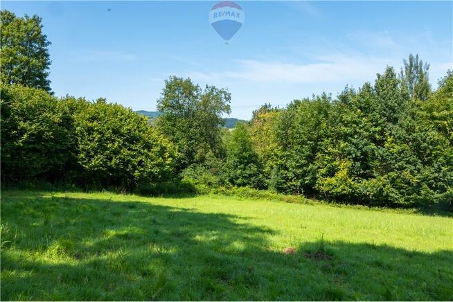 Zielony azyl w otoczeniu natury