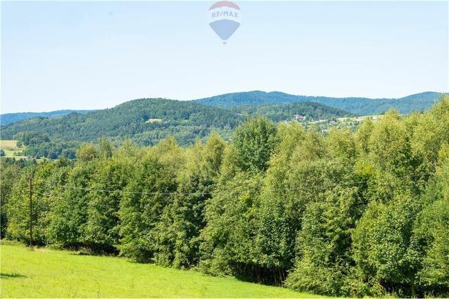 Zielony azyl w otoczeniu natury