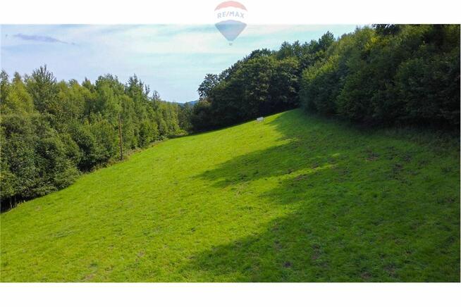 Zielony azyl w otoczeniu natury