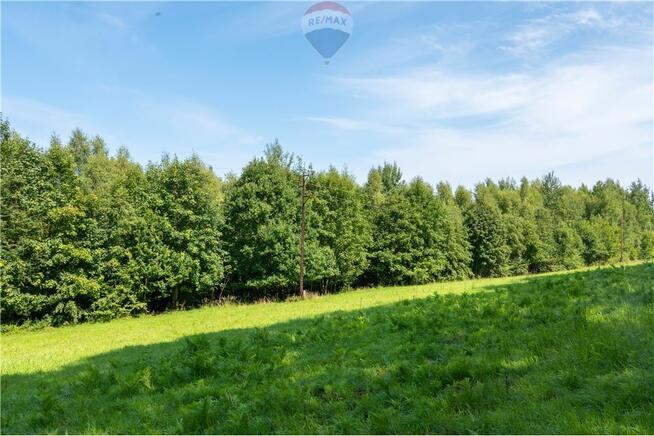 Zielony azyl w otoczeniu natury