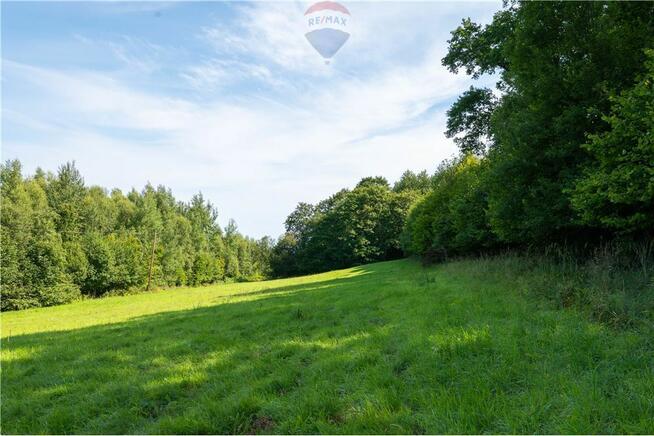 Zielony azyl w otoczeniu natury