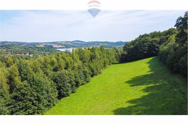 Zielony azyl w otoczeniu natury